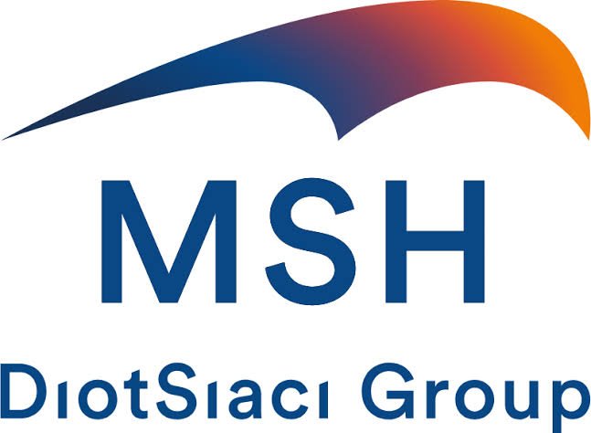 MSH International - Diot Siaci Group Logo